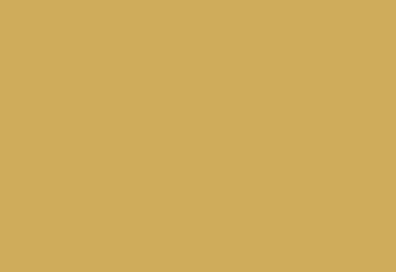 Banner Content Image: https://www.3qsports.co.uk/images/banner/source/Shop-by-Sizes.aAkH95130n.jpg?t=1716498409