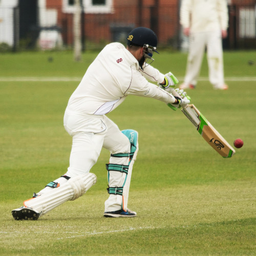 Cricket