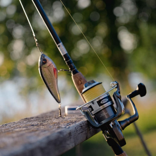 Fishing