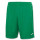 Green Medium