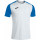 White/Royal