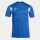 Royal Blue/White