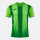 Fluorescent Green/Green Medium