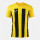 Yellow/Black