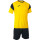 Yellow/Black