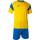 Yellow/Royal