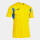 Yellow/Royal Blue