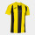 Yellow/Black