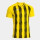 Yellow/Black