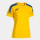 Yellow/Royal Blue
