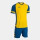 Yellow/Royal Blue