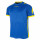 Blue/Yellow