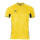 Yellow/Royal