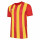 Vermillion/Yellow