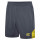 Carbon/Blazing Yellow