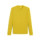 Faster Yellow/Sport Yellow