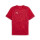 Puma Red/Puma Silver/Dark Cherry