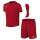 University Red/White
