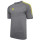 Grey/Yellow
