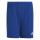 Team Royal Blue