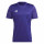 Team Colleg Purple/White