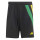 Black/Team Colleg Red/Team Yellow