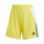 Team Yellow/Black/White