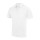 Arctic White