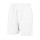 Arctic White