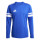 Team Royal Blue/White