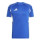 Team Royal Blue