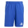 Team Royal Blue