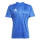 Team Royal Blue/White