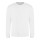 Arctic White