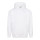 Arctic White