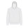 Arctic White