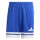 Team Royal Blue/White