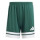 Team Dark Green/White
