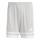 Team Light Grey/White
