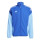 Team Royal Blue/Blue Burst