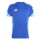 Team Royal Blue/Blue Burst