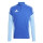 Team Royal Blue/Blue Burst