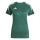 Team Dark Green/Shadow Green