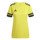 Team Yellow/Black