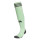 Glory Mint