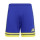 Team Royal Blue/Team Yellow