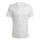 Team Light Grey/White