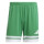 Team Green/White