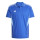 Team Royal Blue/Blue Burst