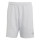 Team Light Grey